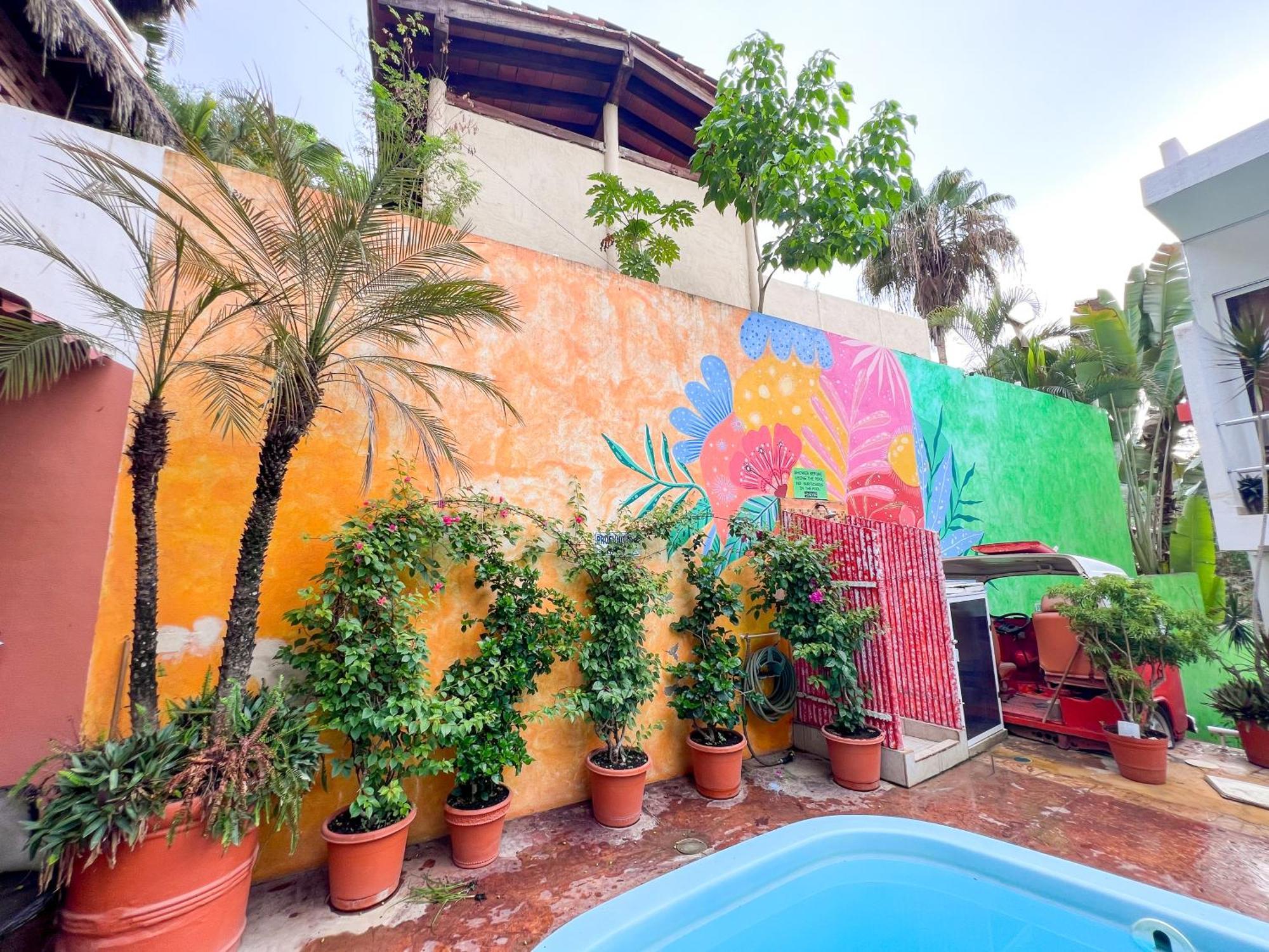 Ith Sayulita Amazing Surf Hostel מראה חיצוני תמונה