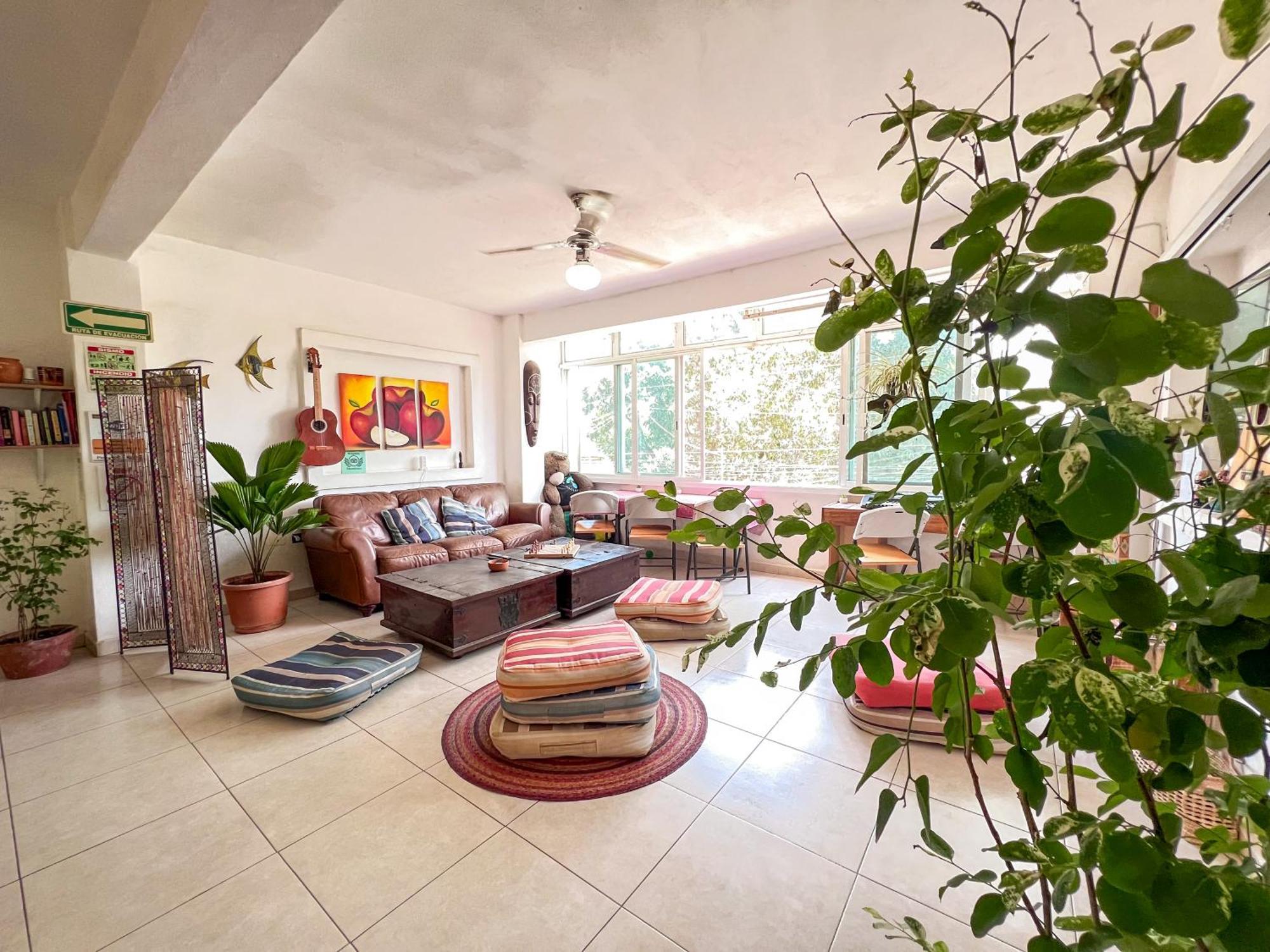 Ith Sayulita Amazing Surf Hostel מראה חיצוני תמונה