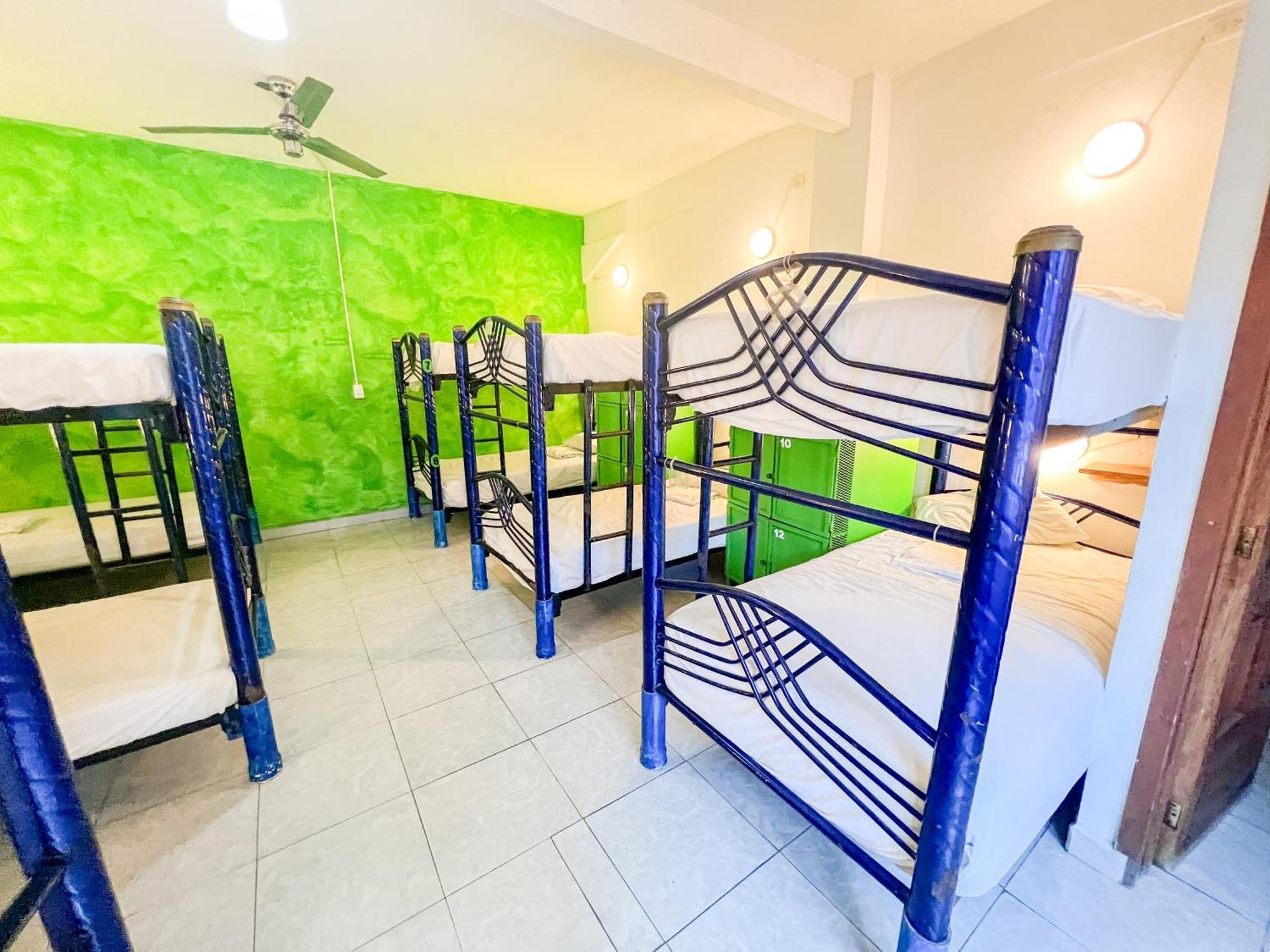 Ith Sayulita Amazing Surf Hostel מראה חיצוני תמונה